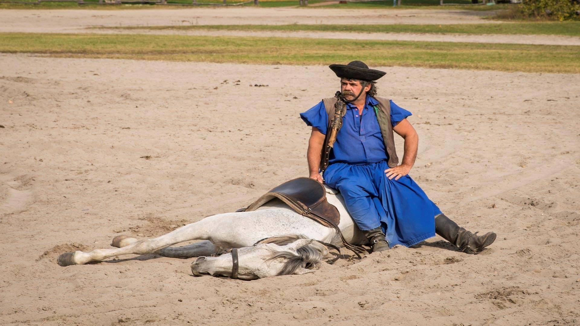 Ungarn_Puszta_og_natcruise_17_Foto_Rasmus_Schoenning-53 yt.jpg