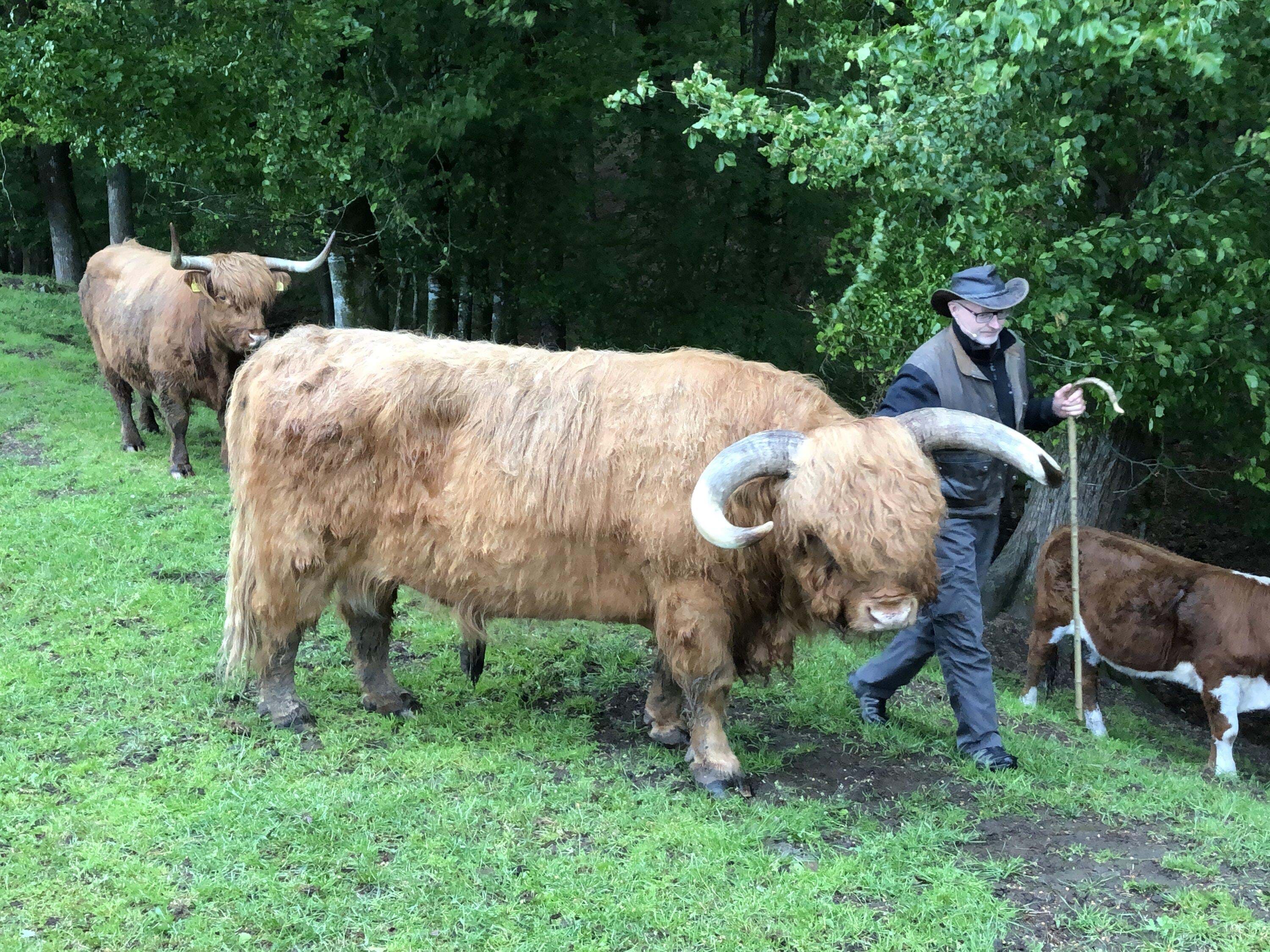 Halland_Halmstad_lowres_30-5_2019_foto_Anne-Vibeke Isaksen.JPG