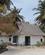 116 Bungalow Ved Stranden Diani Beach Kenya Anne Vibeke Rejser IMG 3447