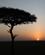 680 Solopgang Over Masai Mare Kenya Anne Vibeke Rejser IMG 3849