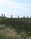 2103 Stor Stencirkel Ring Of Brodgar Orkney Skotland Anne Vibeke Rejser IMG 6396