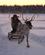 409 Slaede Paa Rundloejpe Trukket Af Rensdyr Pajala Lapland Sverige Anne Vibeke Rejser PICT0141