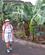 202 Bananplantager Puerto De La Cruz Tenerife Spanien Anne Vibeke Rejser IMG 3540