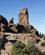 112 Roque Nublo Gran Canaria Spanien Anne Vibeke Rejser DSC02416