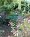 210 Den Beroemte Bro I Monets Have I Giverny Seinen Normandiet Frankrig Anne Vibeke Rejser IMG 2460