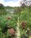 221 Havegang Monets Hus Giverny Seinen Normandiet Frankrig Anne Vibeke Rejser IMG 2455