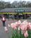 600 Indgang Til Bomsterparken Keukenhof Lisse Holland Anne Vibeke Rejser IMG 1086
