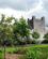 520 Trinitarian Kloster Adare Irland Anne Vibeke Rejser IMG 1862