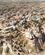 838 Udsigt Til Landsbyen Uchisar Göreme Kappadokien Tyrkiet Anne Vibeke Rejser PICT0316