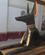 423 Anubis Fra Tutankhamons Grav Egyptiske Museum Cairo Egypten Anne Vibeke Rejser IMG 9660