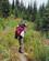 320 Op Gennem Skoven Bugaboo Provincial Park British Columbia Canada Anne Vibeke Rejser 12