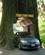 630 Tour Thru Tree I Kamp Klamath Redwood Park Californien USA Anne Vibeke Rejser IMG 1557