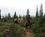 100 Rideferie I Rocky Mountains Canada Anne Vibeke Rejser 20