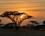 Afrika Kenya Safari Samburu Sunset Africa Tours 2023 Foto Anne Vibeke Rejser