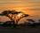 Afrika Kenya Safari Samburu Sunset Africa Tours 2023 Foto Anne Vibeke Rejser