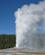 962 Old Faithfull Springer Yellowstone N.P. Wyoming USA Anne Vibeke Rejser IMG 2031