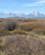 1002 Grand Teton National Park Wyoming USA Anne Vibeke Rejser IMG 1716