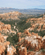 1242 Roede Klipper Bryce Canyon National Park Utah USA Anne Vibeke Rejserimg 1745
