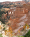 1261 Sunset Point Bryce Canyon National Park Utah USA Anne Vibeke Rejser IMG 1750