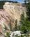 942 Yellowstone Canyon Yellowstone N.P. Wyoming USA Anne Vibeke Rejser IMG 9629
