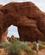 1914 Pine Tree Arch Arches National Park Utah USA Anne Vibeke Rejser DSC00612