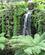 441 Vandfald Mellem Eksotiske Planter Melbourne Australien Anne Vibeke Rejser IMG 5548