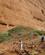 1226 Paa Vandrestien Olga Gorge Walk Kata Tjuta The Olgas Australien Anne Vibeke Rejser IMG 6400