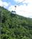 1460 Gondol Over Skoven Ved Skyrail Rainforest Cableway Kuranda Cairns Australien Anne Vibeke Rejser IMG 6718