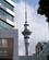 120 Sky Tower Auckland New Zealand Anne Vibeke Rejser PICT0010