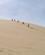 362 Helt Til Toppen Giant Sand Dunes Ninetymiles Beach New Zealand Anne Vibeke Rejser PICT0285