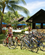 1020 Cykeludlejning Nexus Resort Karamnunai Kota Kinabalu Borneo Malaysia Anne Vibeke Rejser 1653