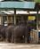 604 Fodringstid Elephant Transit Home Udawalawe Sri Lanka Anne Vibeke Rejser DSC08025