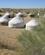 440 Yurt Lejr Ved Dongilek Kyzyl Kum Oerkenen Usbekistan Anne Vibeke Rejser IMG 9287