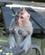 678 Unge Monkey Forest Bali Indonesien Anne Vibeke Rejser IMG 3698