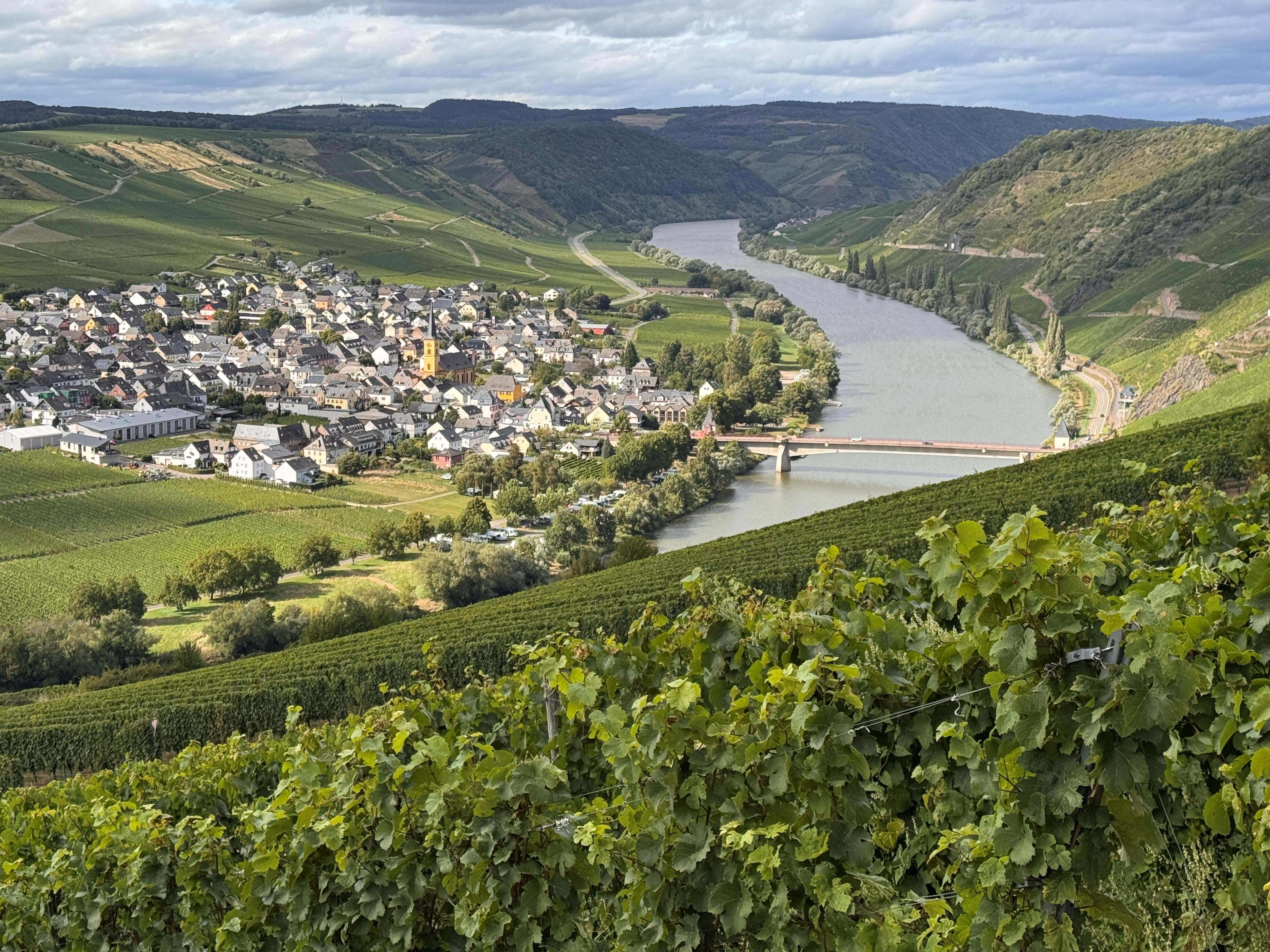 Tyskland Mosel Trittenheim Foto Anne Vibeke Rejser 2025