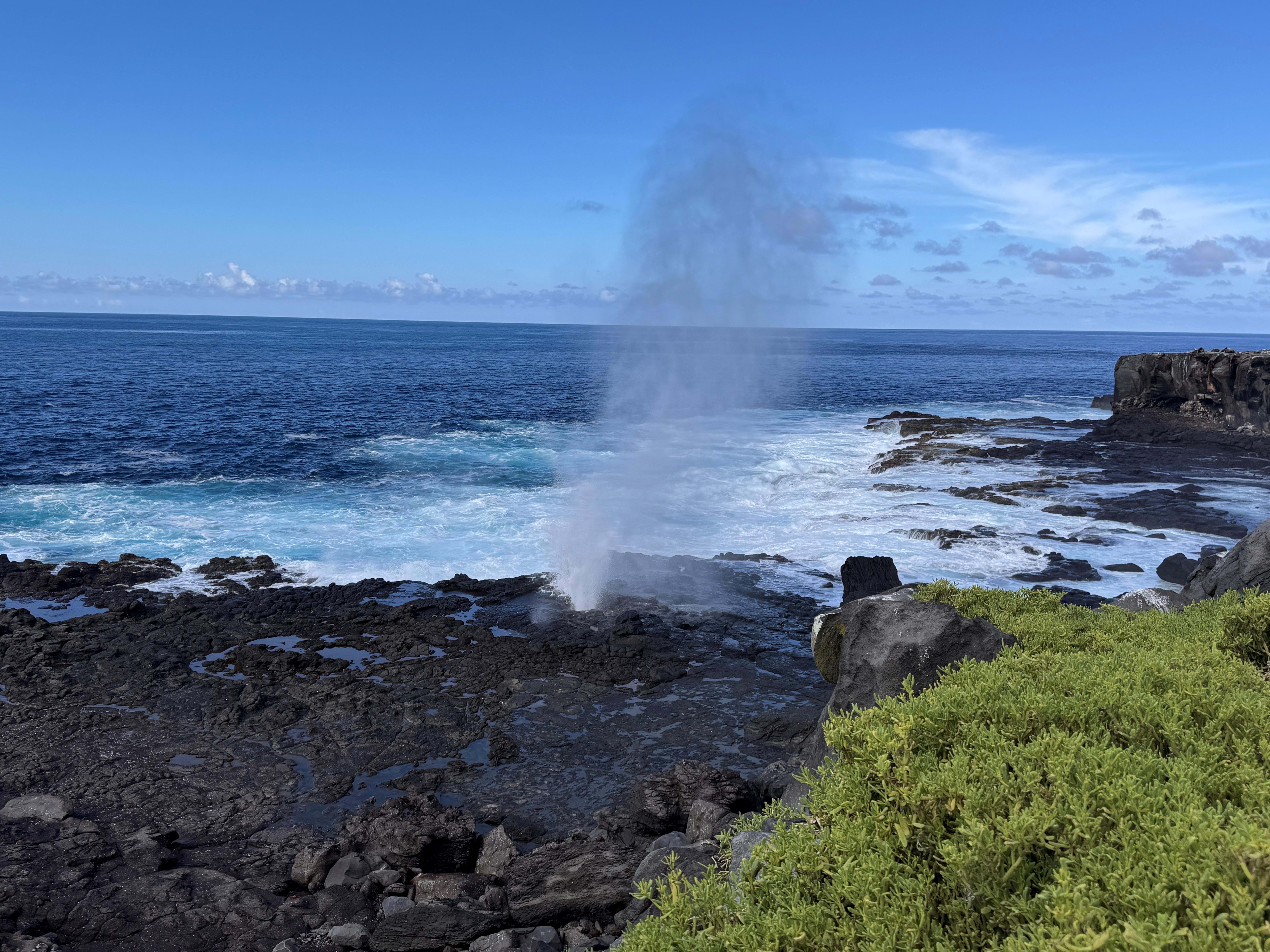 Ecuador Galapagos Natur Isla Espanolas Anne Vibeke Rejser 2025 Foto Rasmus Schønning (6)