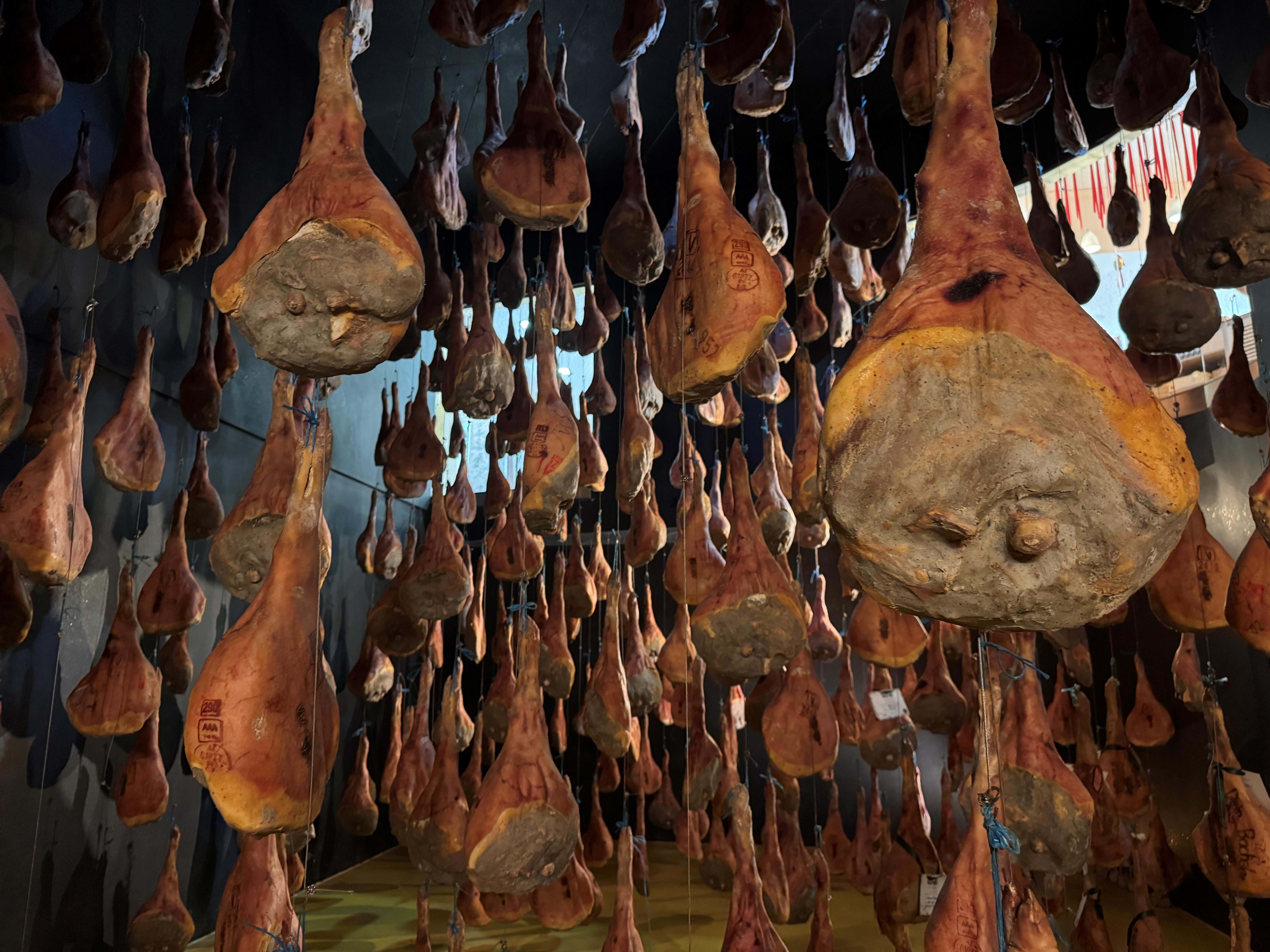 Østrig Steiermark Volcano Schinken Foto Anne Vibeke Rejser 2025 (2)