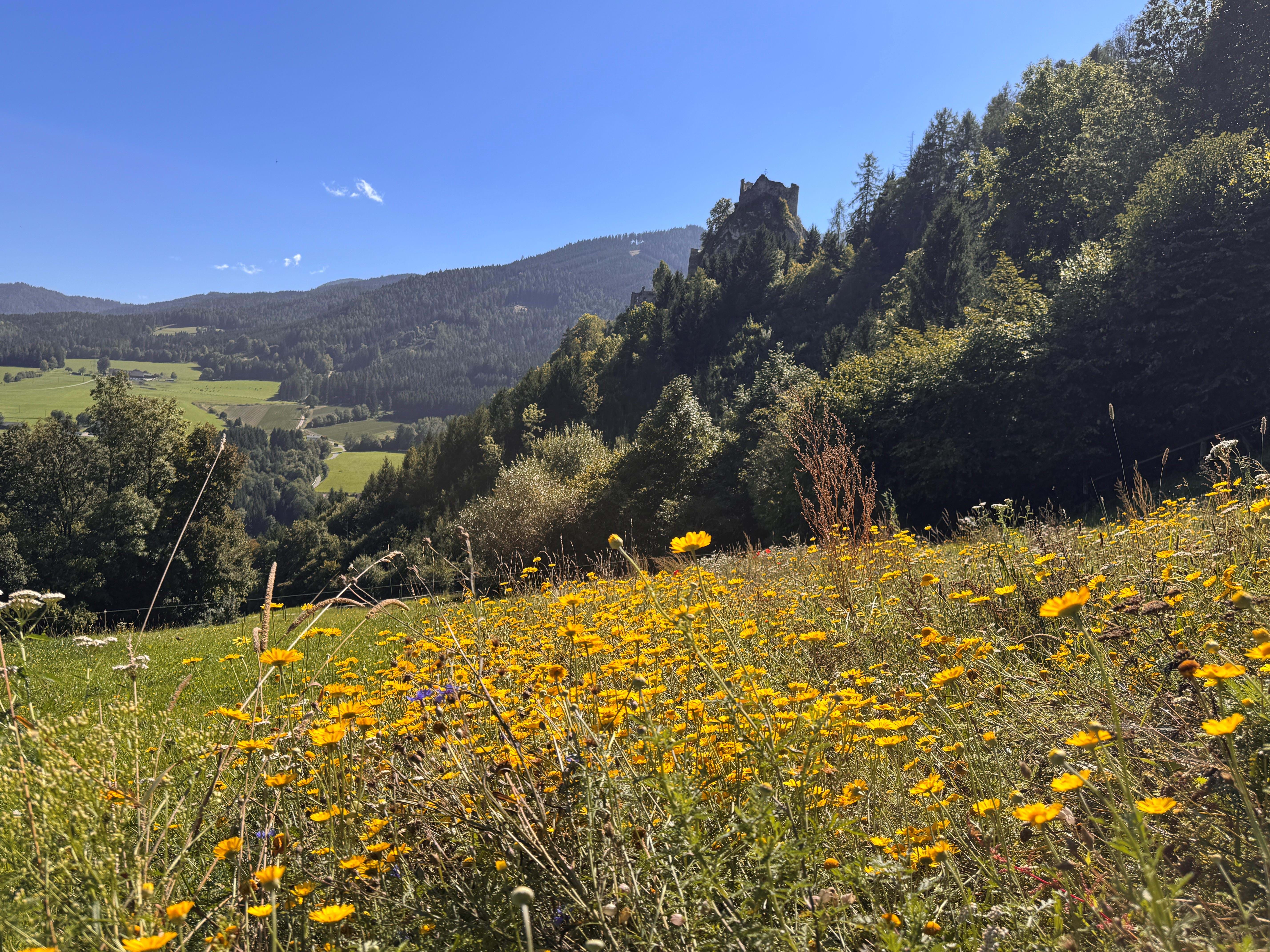 Østrig Steiermark Foto Anne Vibeke Rejser 2025 (8)