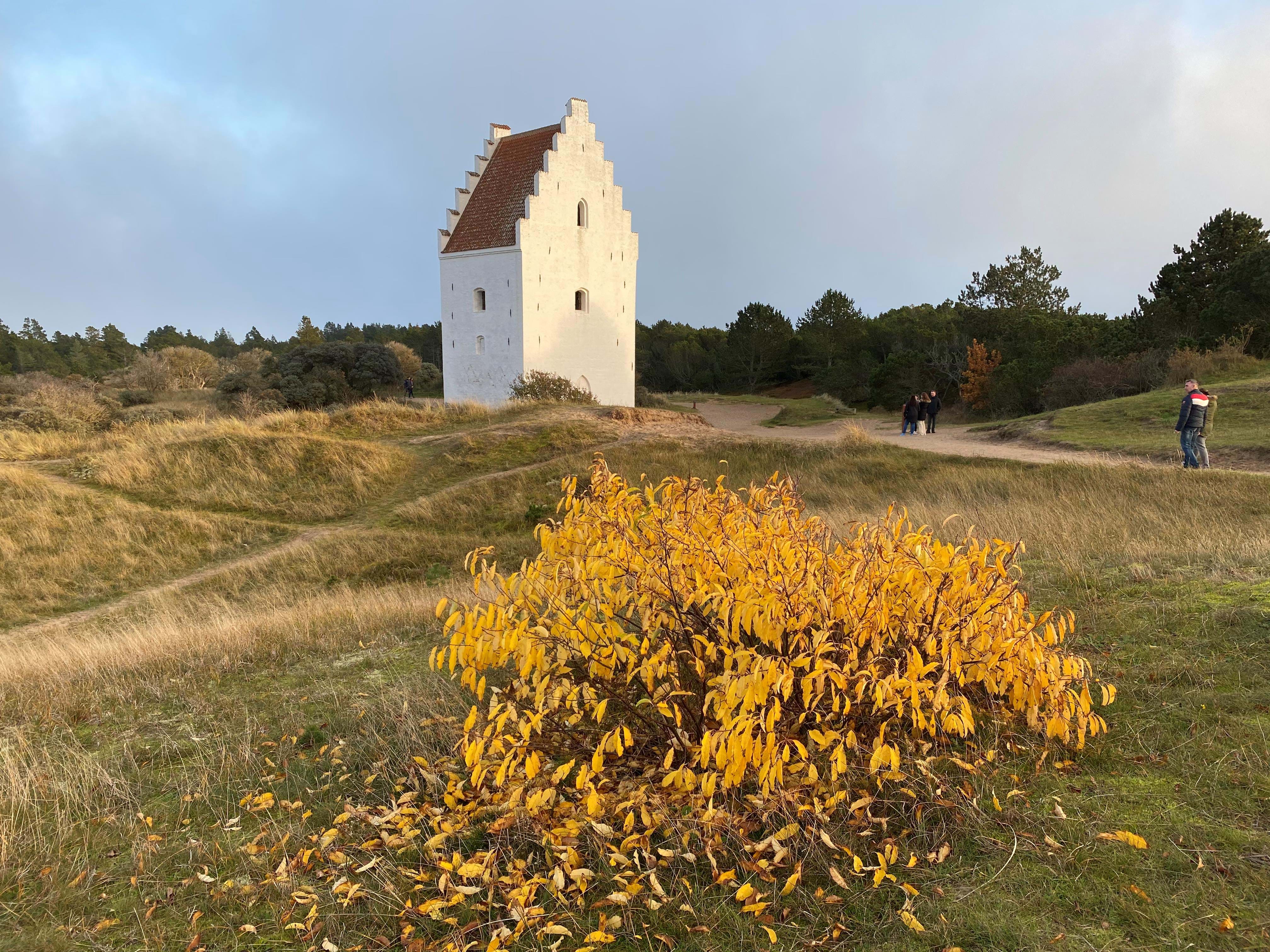 1 11 2020 Danmark Skagen Nordjylland Aalbaek Foto Anne Vibeke Rejser 2020 Foto Rasmus Schoenning (2)