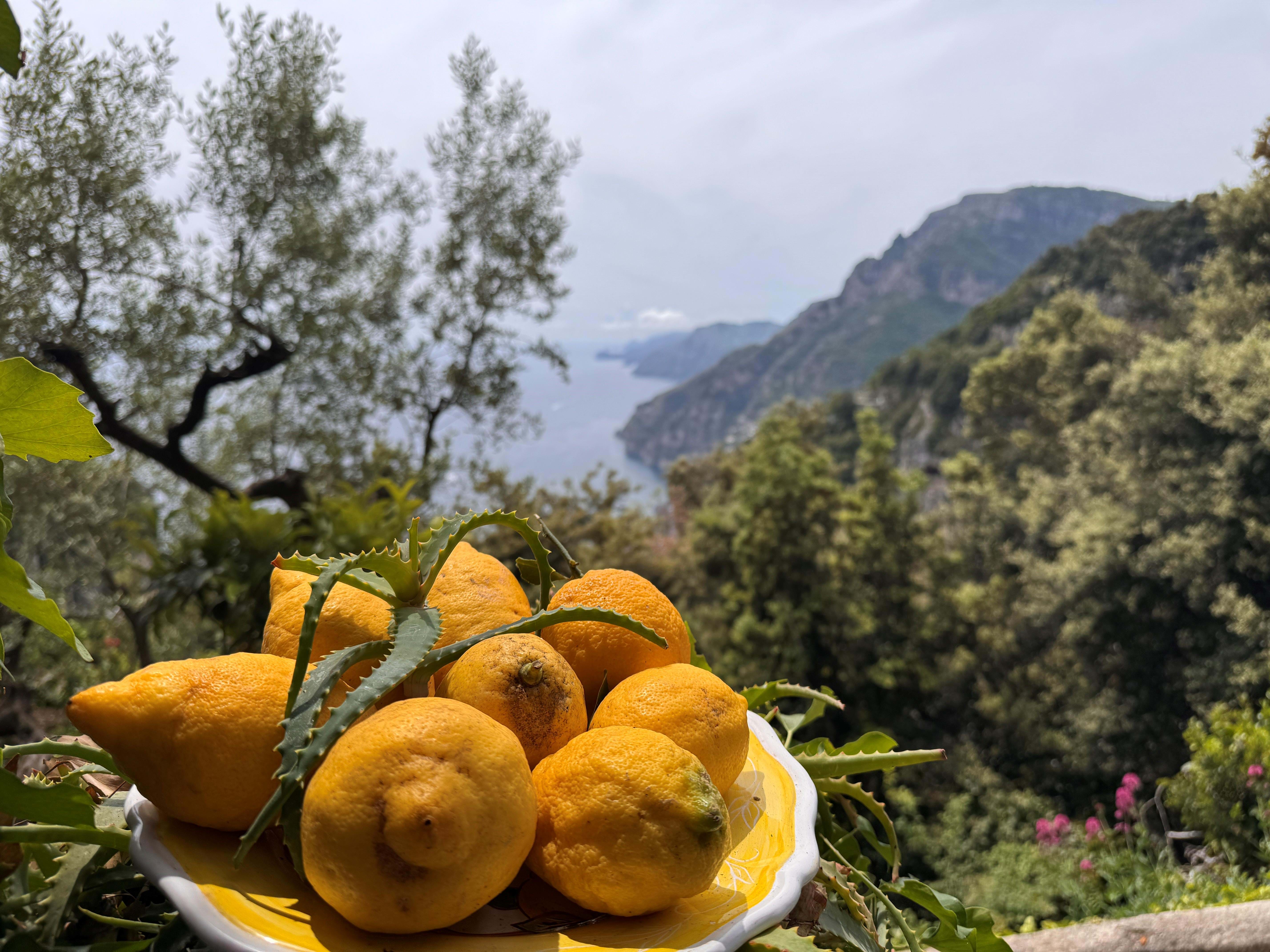 Italien Amalfikysten Sorrentohalvøen 2025 Foto Anne Vibeke Rejser (18)