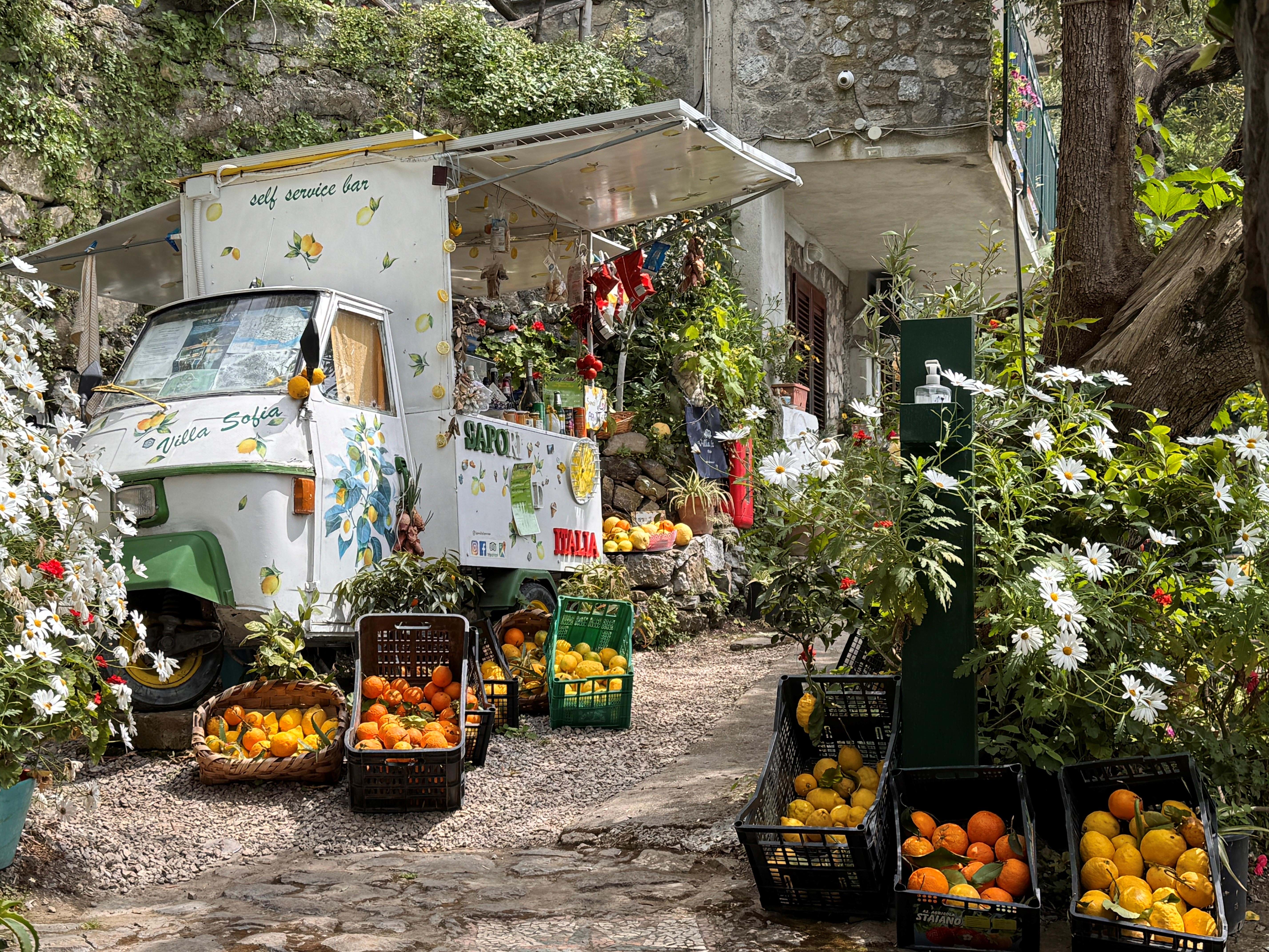 Italien Amalfikysten Sorrentohalvøen 2025 Foto Anne Vibeke Rejser (16)