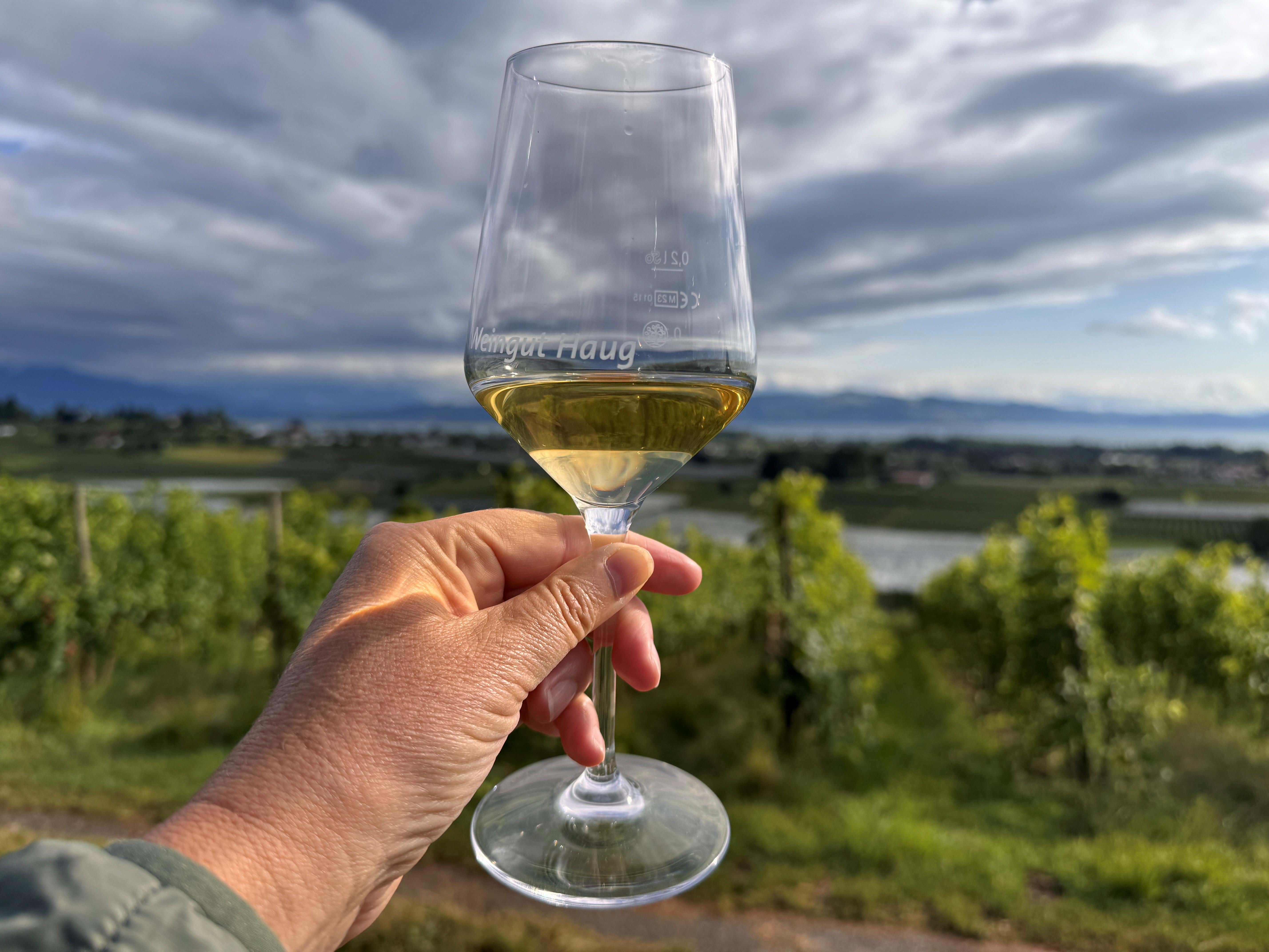 Tyskland Deutsche Alpenstrasse Lindau Weingut Haug Anne Vibeke Rejser Foto Rasmus Schønning 2025 (2)
