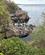 Danmark Bornholm Helligdomsklipperne Foto Anne Vibeke Rejser 2026