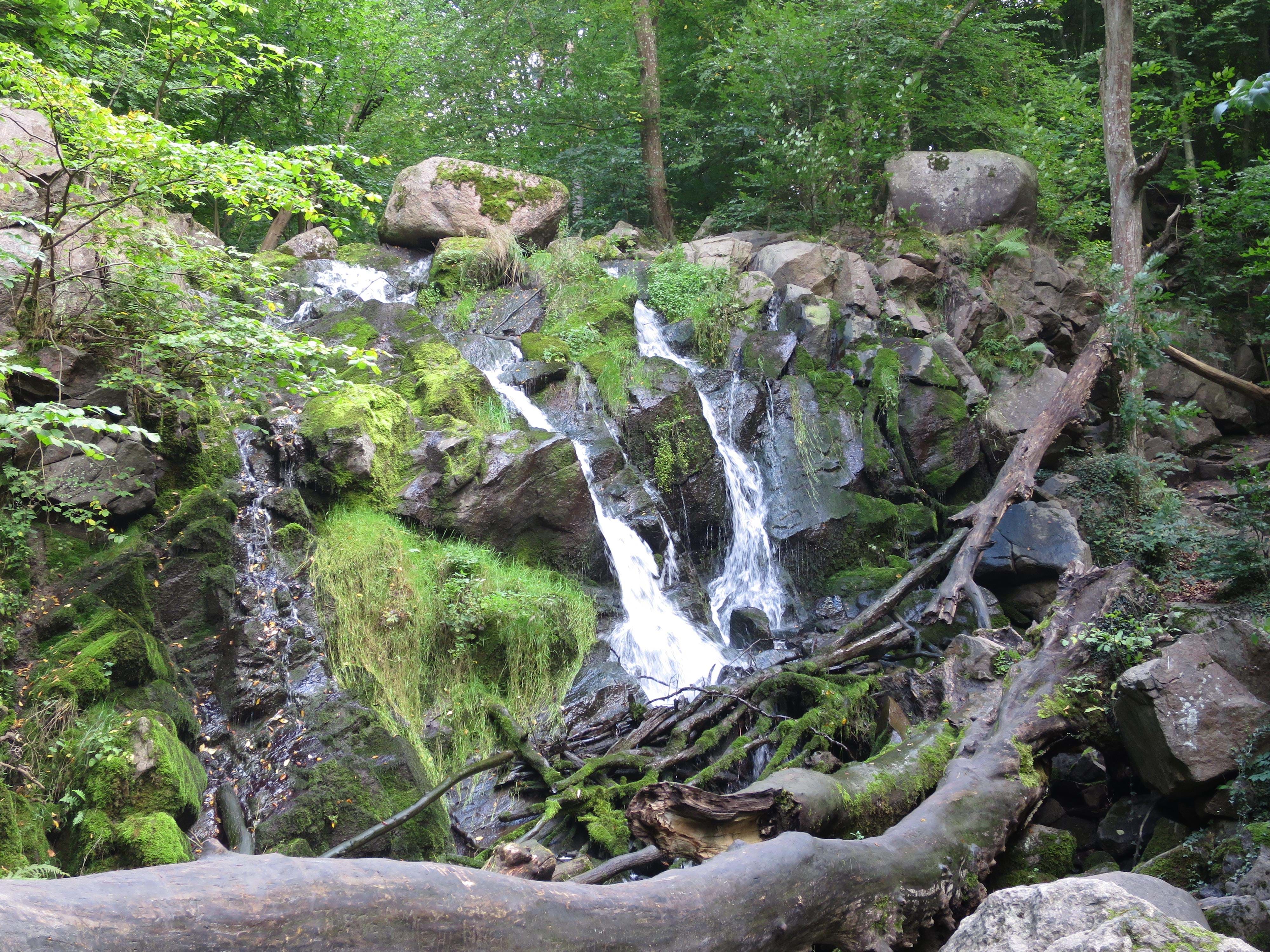 Danmark Bornholm Døndalsfaldet Danmarks Højeste Vandfald Foto Anne Vibeke Rejser 2014