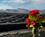 Spanien Lanzarote Natur Club La Santa Anne Vibeke Rejser 2025 Foto Rasmus Schønning (1)