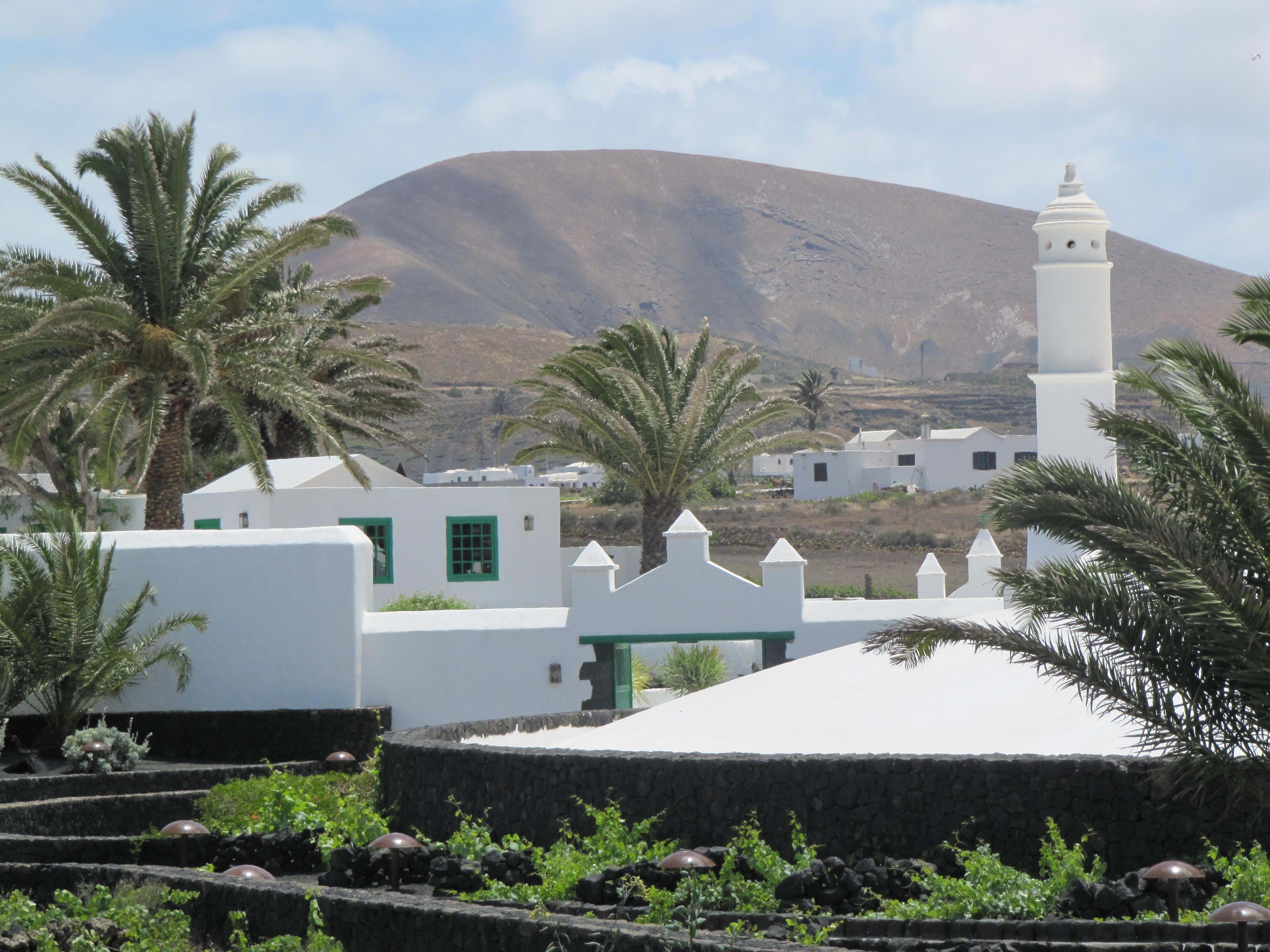 Spanien Lanzarote Natur Haria Club La Santa Anne Vibeke Rejser 2010 Foto Rasmus Schønning