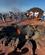 Spanien Lanzarote Natur Club La Santa Anne Vibeke Rejser 2025 Foto Rasmus Schønning (12)