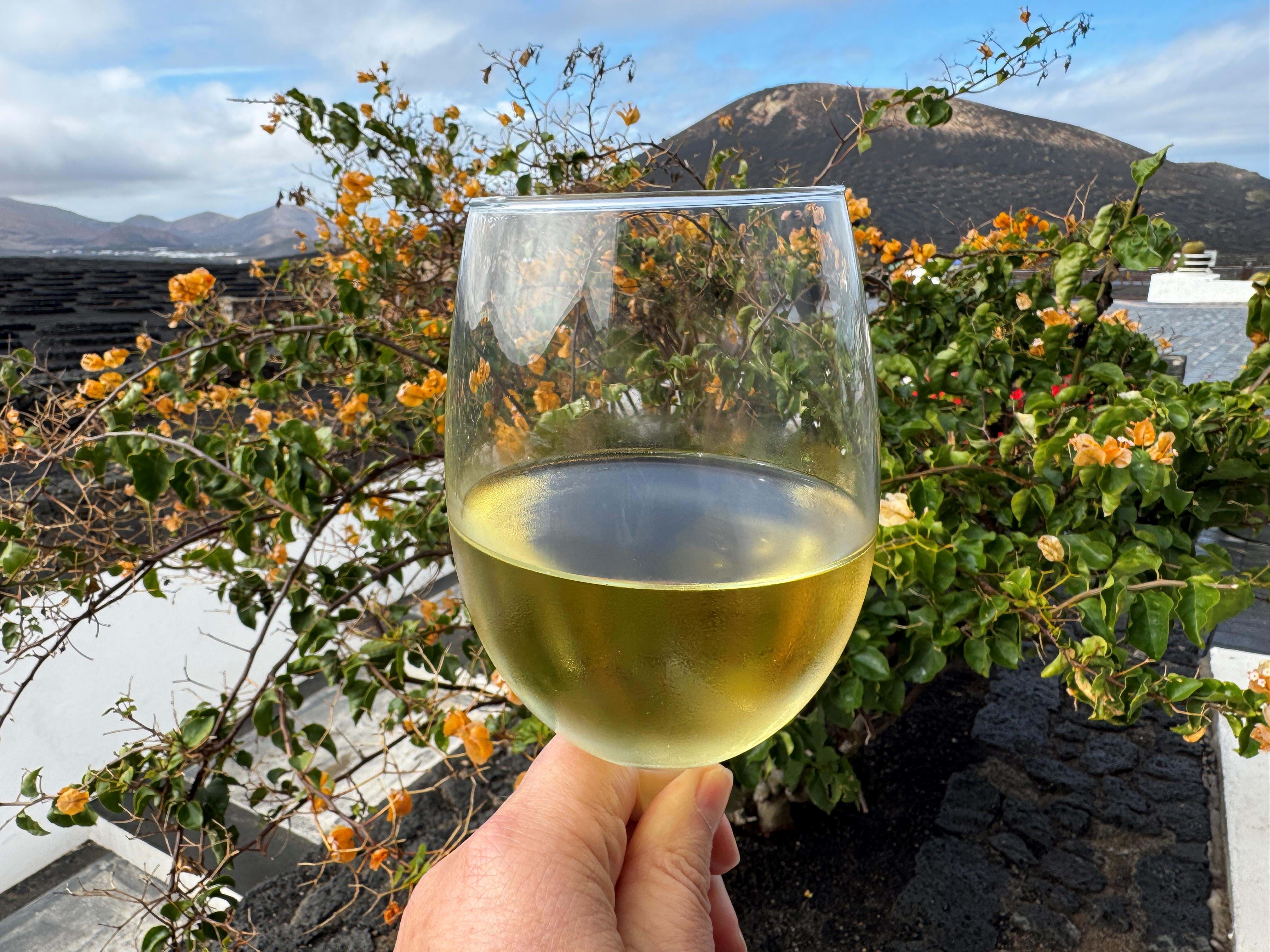 Spanien Lanzarote Natur La Geria Club La Santa Anne Vibeke Rejser 2025 Foto Rasmus Schønning (3)