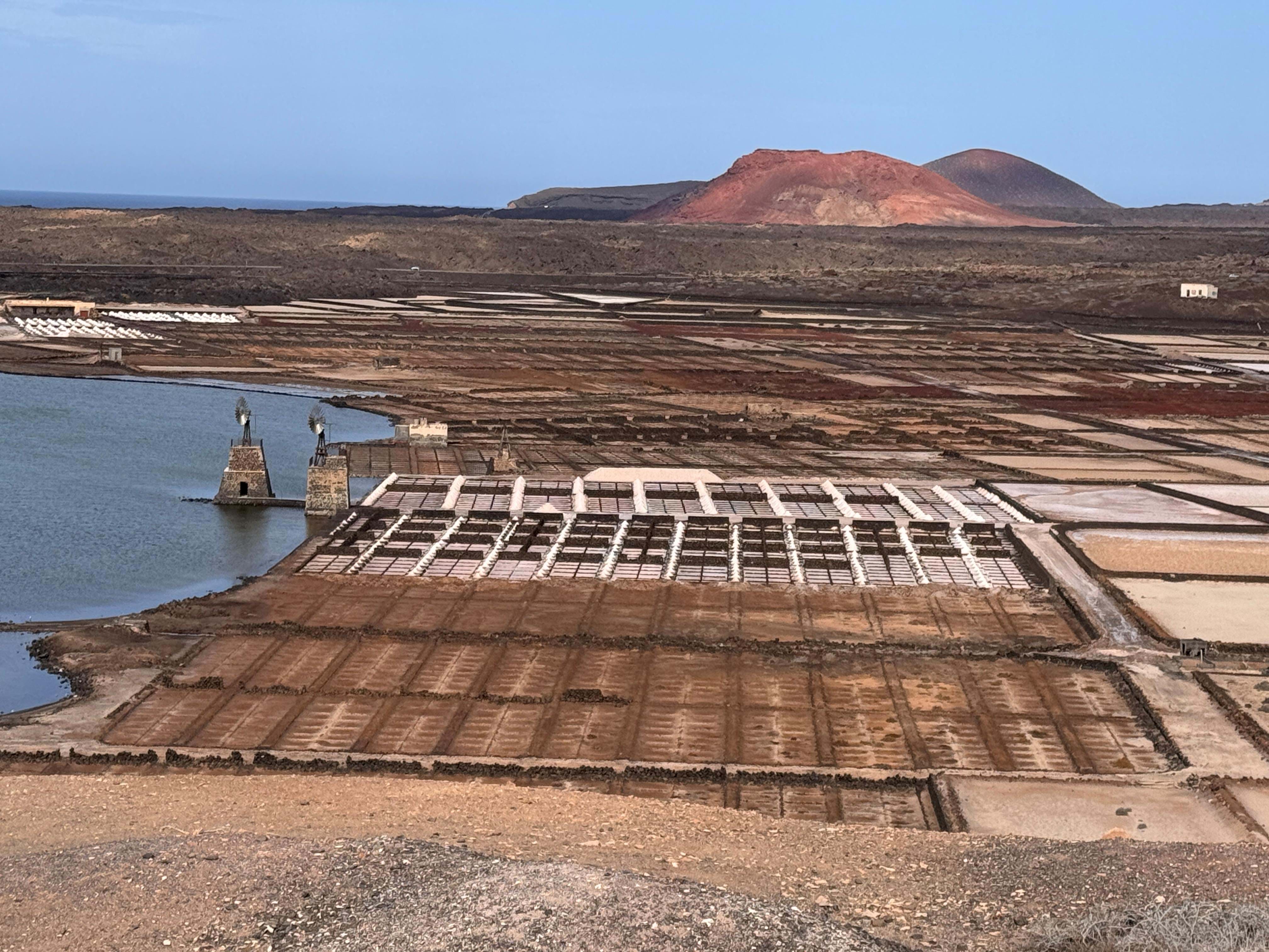 Spanien Lanzarote Natur Club La Santa Anne Vibeke Rejser 2025 Foto Rasmus Schønning (4)