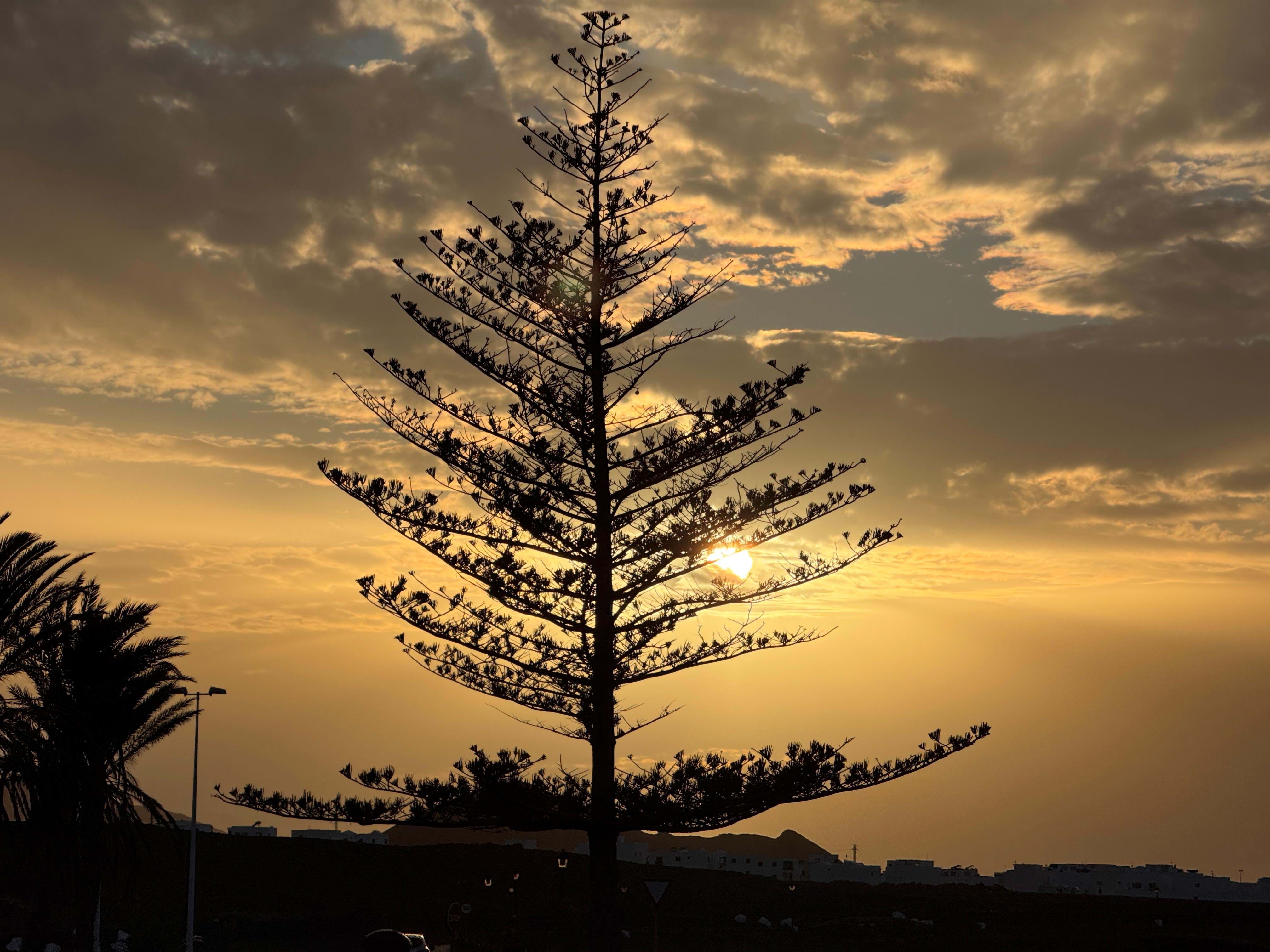 Spanien Lanzarote Natur Club La Santa Anne Vibeke Rejser 2025 Foto Rasmus Schønning (6)